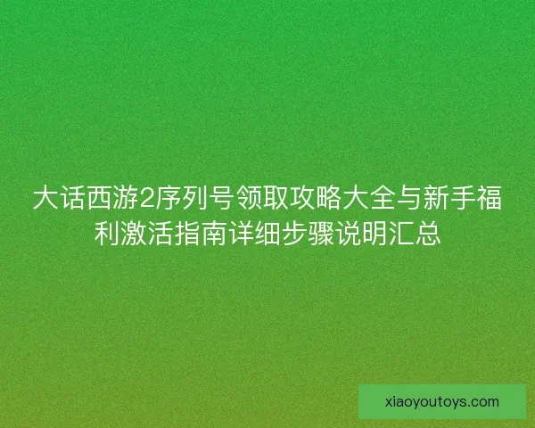 大话西游2序列号领取攻略大全与新手福利激活指南详细步骤说明汇总