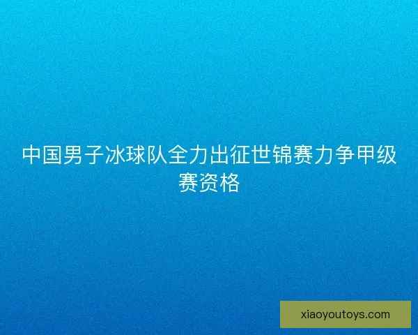 中国男子冰球队全力出征世锦赛力争甲级赛资格 中国男子冰球队全力出征世锦赛力争甲级赛资格